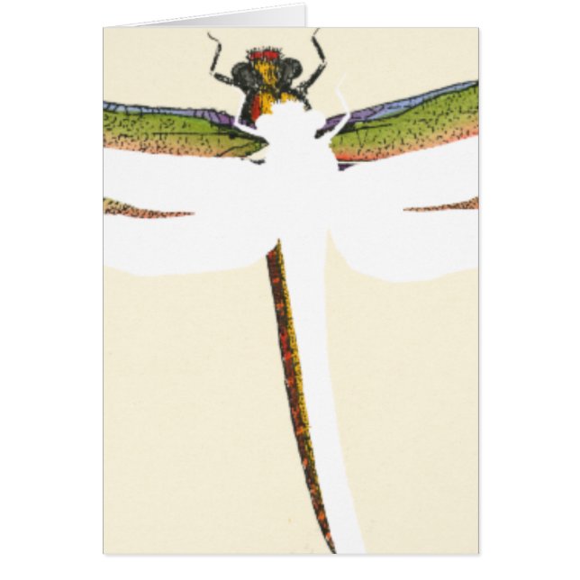 Dragonfly en miniatura sobre fondo blanco (Frente)