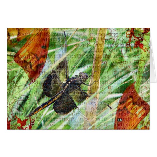 Dragonfly, huye (Anverso (Horizontal))