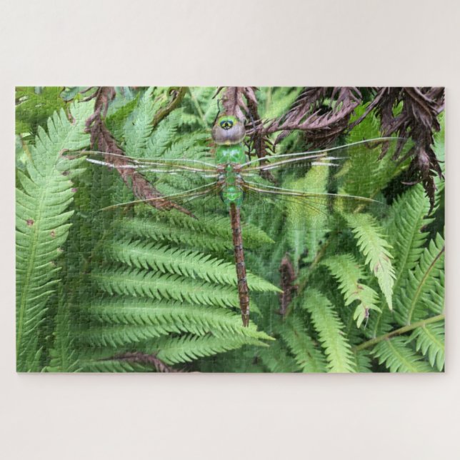 Dragonfly in Garden Difícil Puzzle 1014 Piece (Horizontal)