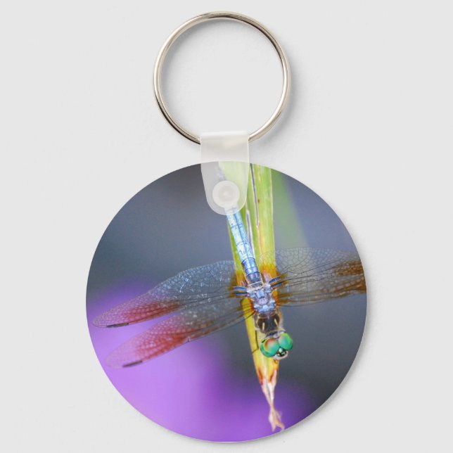 Dragonfly - llavero (Anverso)