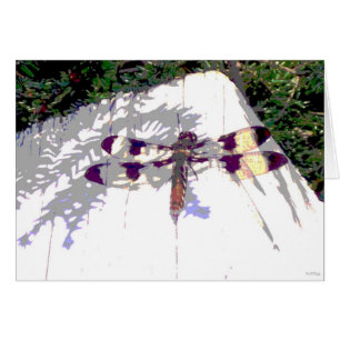 Dragonfly localizado