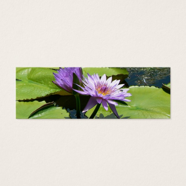 Dragonfly Lotus (Frente)