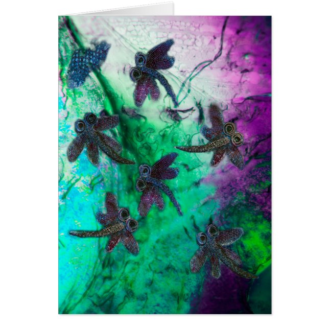 Dragonfly Magic (Frente)