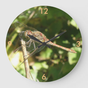 Dragonfly sobre un reloj de pared de peluca