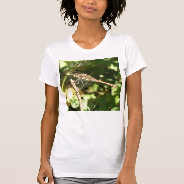 Dragonfly sobre una camiseta con peluca (Anverso)