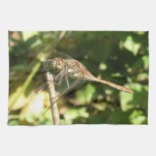 Dragonfly sobre una toalla de cocina de peluca