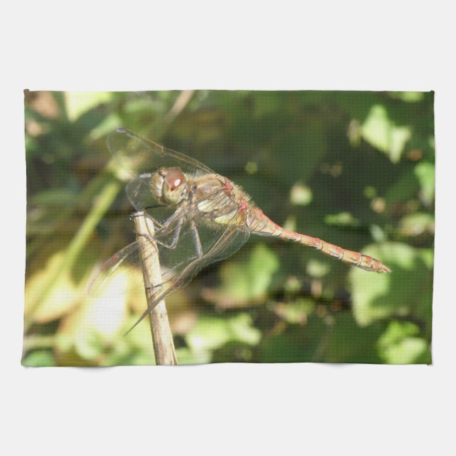 Dragonfly sobre una toalla de cocina de peluca (Horizontal)