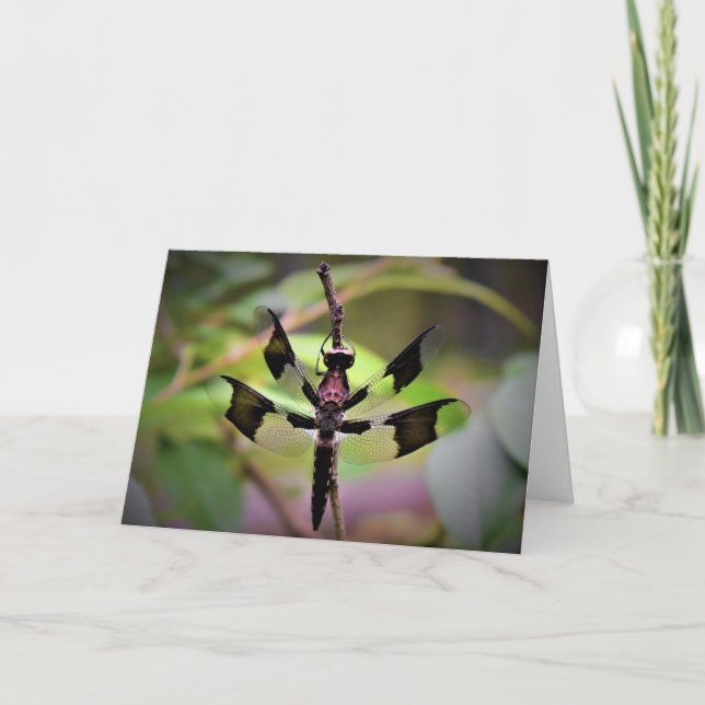 Dragonfly, tarjeta (Anverso)