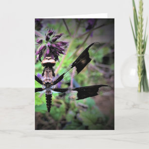 Dragonfly, tarjeta
