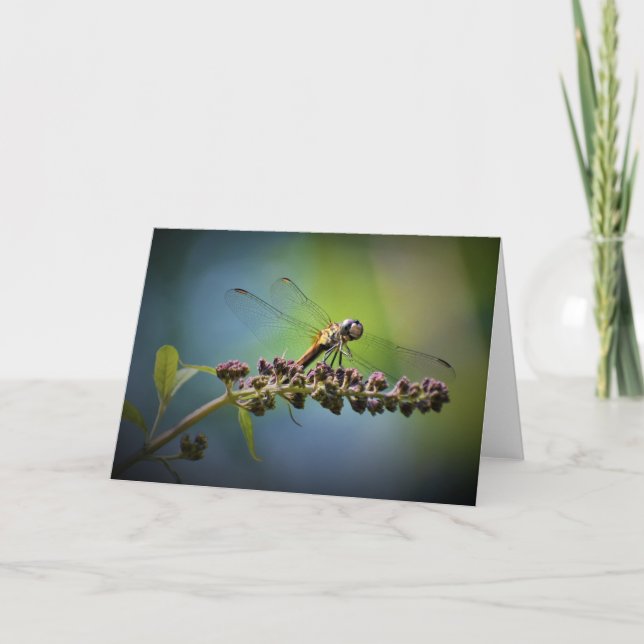Dragonfly, tarjeta (Anverso)