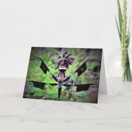 Dragonfly, tarjeta
