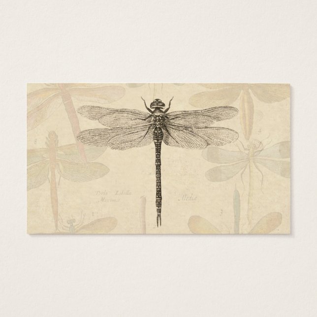 Dragonfly Vintage Antique Classic Drawing (Atrás)