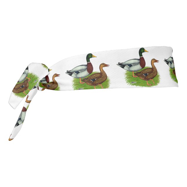 Drake mallard y pato (Girar 270)