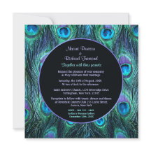 Drama de plumas de pavo real - Plaza de invitación