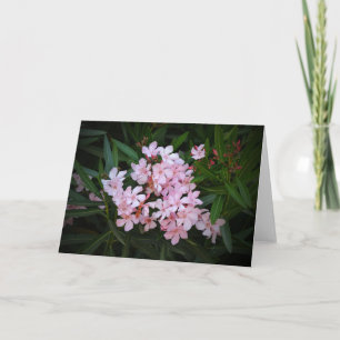 Dramática Flores Rosa Tarjeta de Nota de Arte Foto