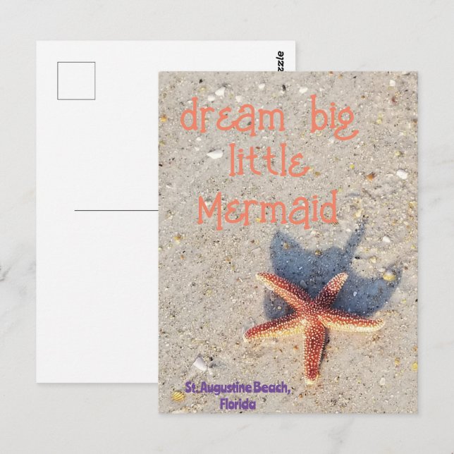 Dream Big starfish en la postal de St. Augustine B (Anverso / Reverso)