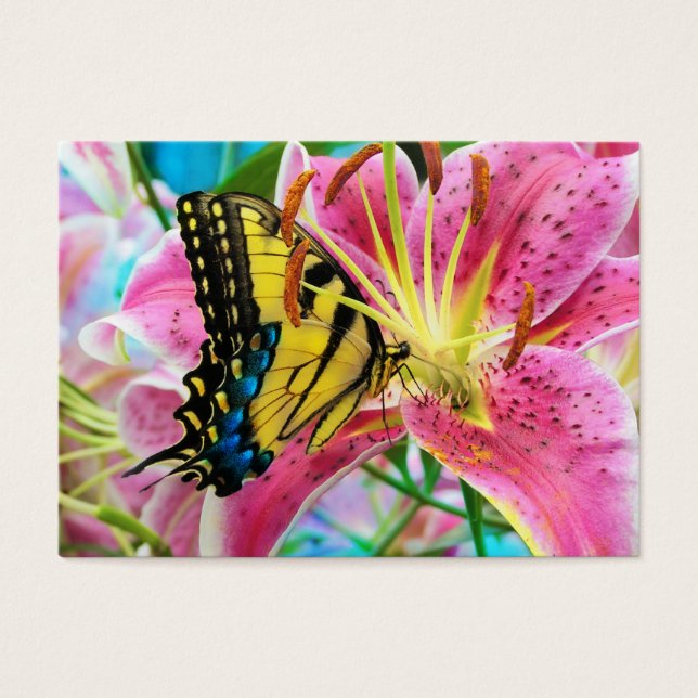 Dream Day, tarjeta de perfil (Frente)