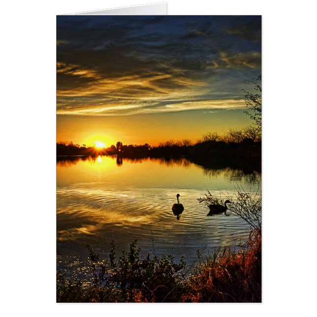 Dreamy Sunset (Frente)