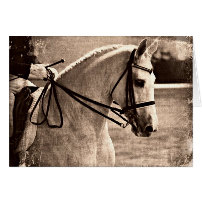 Dressage Grunge (Anverso (Horizontal))