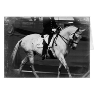 Dressage Horse Grunge