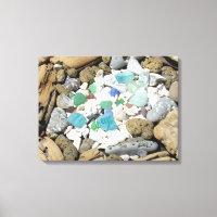 Driftwood Rock Garden Canvas arte Seashells Beach