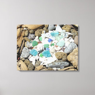 Driftwood Rock Garden Canvas arte Seashells Beach