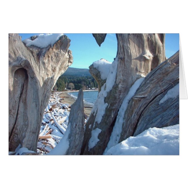 Driftwood Snow Glistens (Anverso (Horizontal))