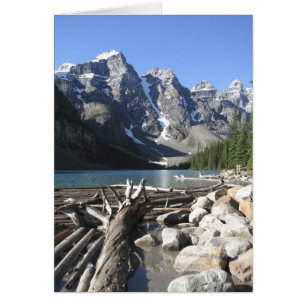 Driftwood, tarjeta de saludo en blanco