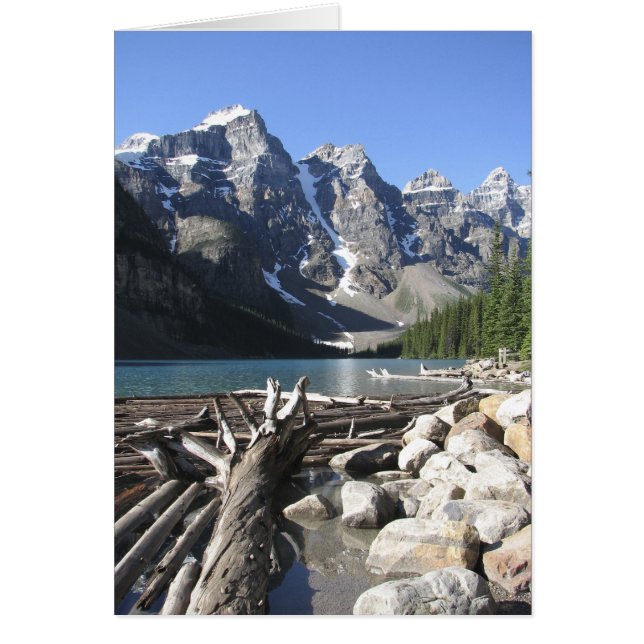 Driftwood, tarjeta de saludo en blanco (Frente)