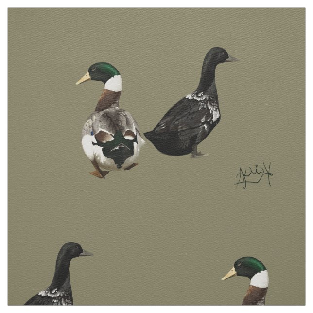 Drke Stargazer y su tela de pato Lady (Retal)