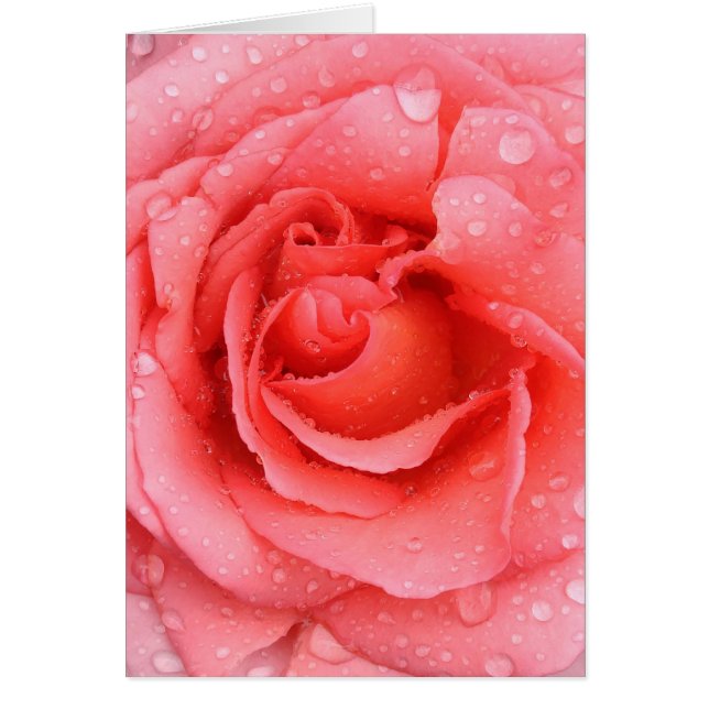 Drogas de agua rosadas románticas (Frente)
