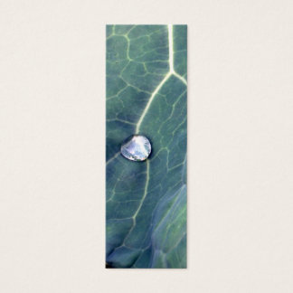 Droplet de agua sobre una hoja de col