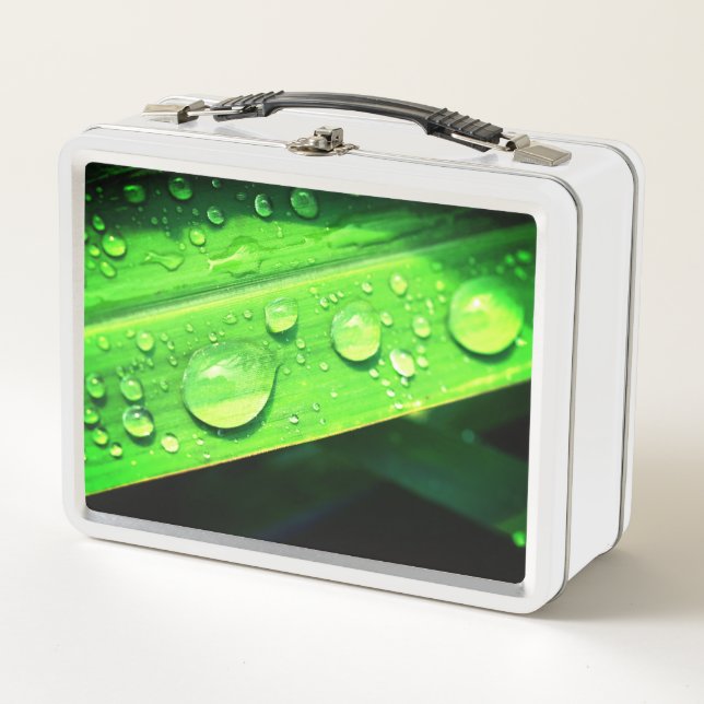 Droplets de agua (Anverso)