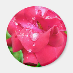Droplets en el imán de la nevera de Petals