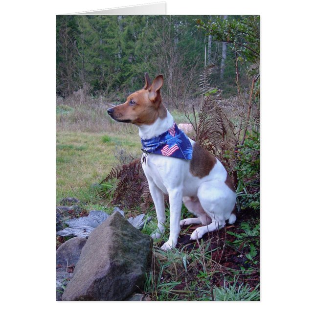 DSC00088 Rat dog Rick (Frente)