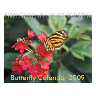 DSC00452, calendario 2009 de la mariposa