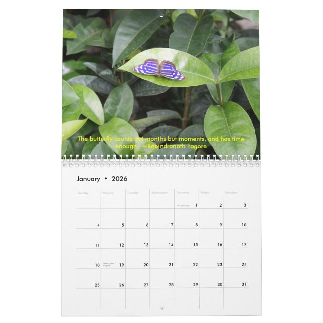 DSC00452, calendario 2009 de la mariposa (Jan 2026)