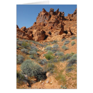 DSCF0344, ~in su words~