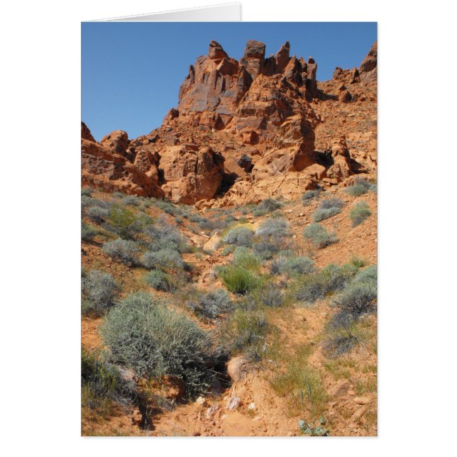 DSCF0344, ~in su words~ (Frente)