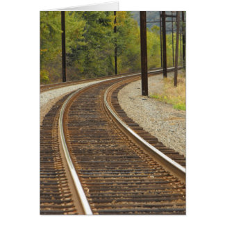 DSCF6914, ~in su words~