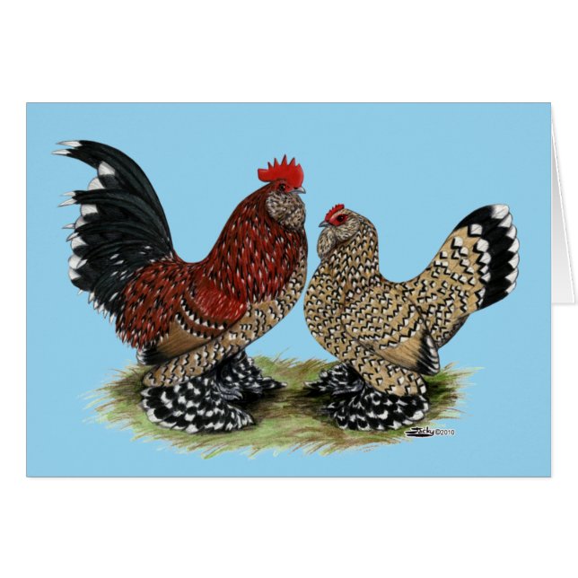 D'Uccle Bantams: Mille Fleur (Anverso (Horizontal))