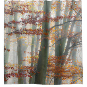 Ducha Bosque de niebla mística en otoño - Cortina de duc