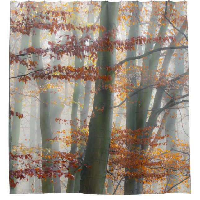 Ducha Bosque de niebla mística en otoño - Cortina de duc (Anverso)