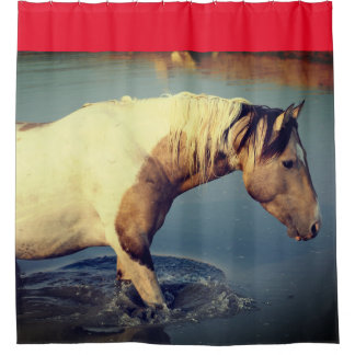 Ducha CABALLOS SALVAJES DE UTAH PINTO EN LA Cortina DE D