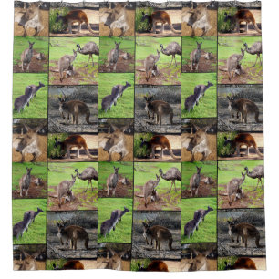 Ducha Collage de fotos canguro, Cortina de ducha.