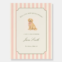 Ducha de Bienvenida al Cachorro Golden Retriever