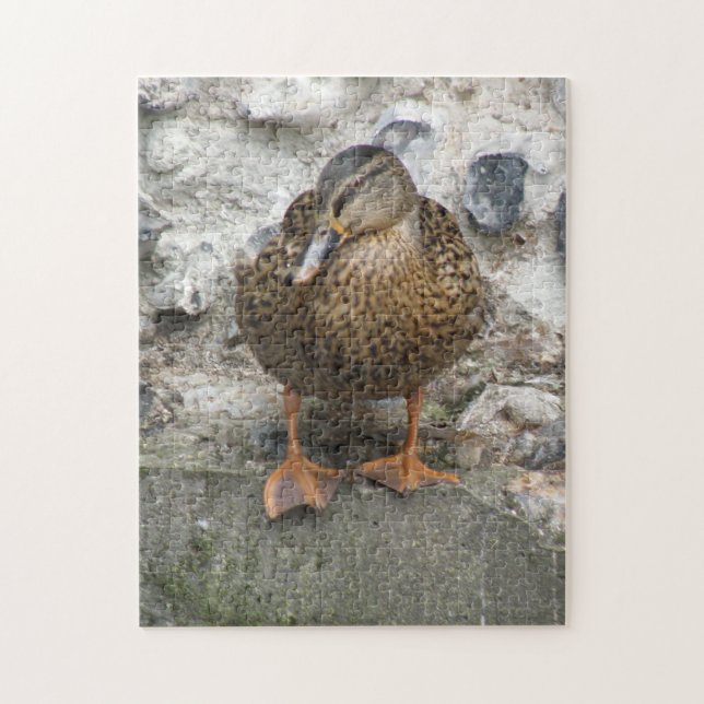 Duck on the Wall Puzzle (Vertical)