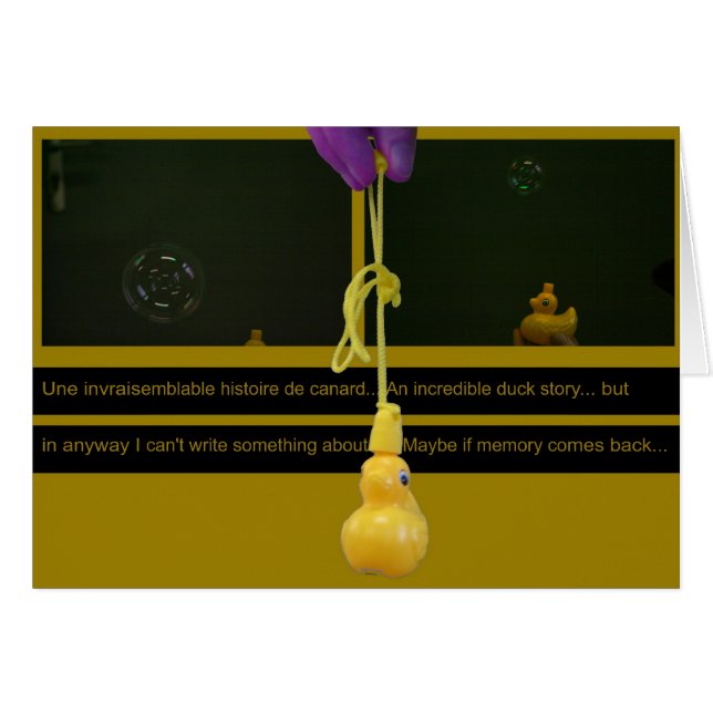 Duck Story ou une historia invariable (Anverso (Horizontal))