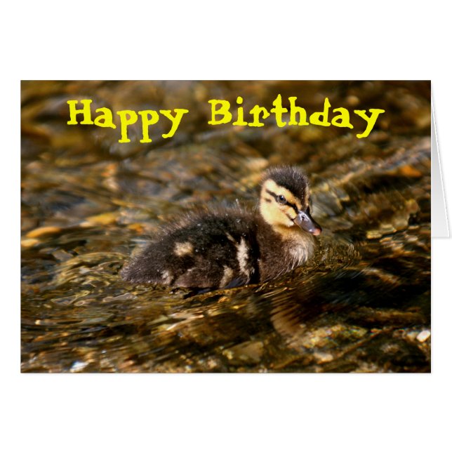 Duckling (Anverso (Horizontal))