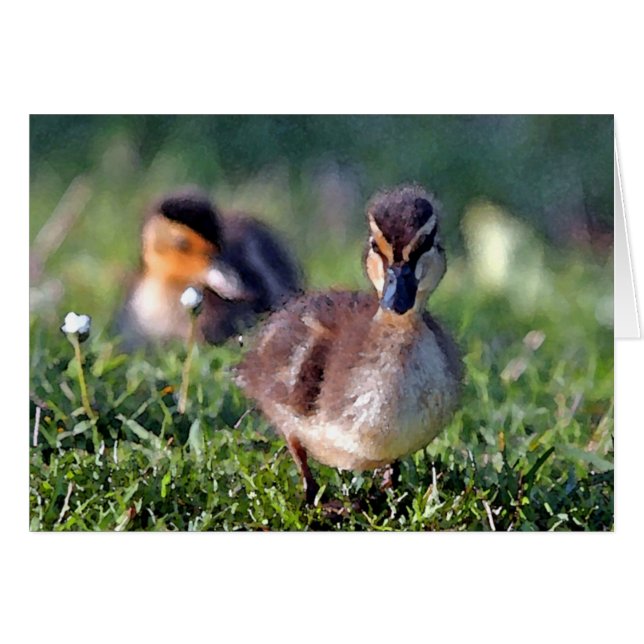 Duckling (Anverso (Horizontal))